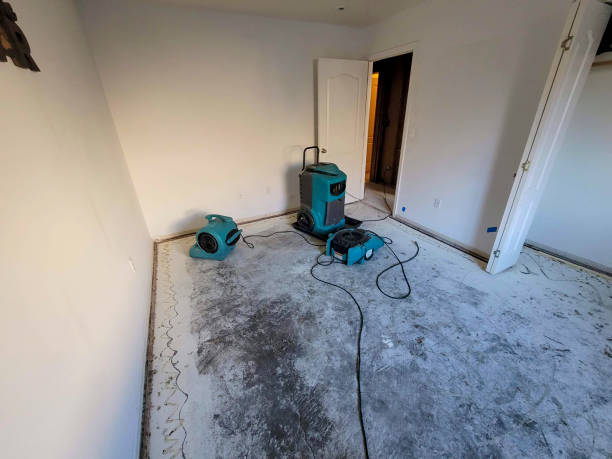 Best Carpet water damage restoration  in Taft, TX