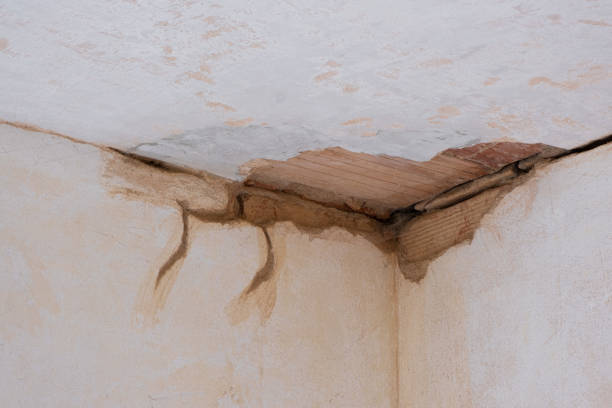 Best Water damage mitigation services  in Taft, TX