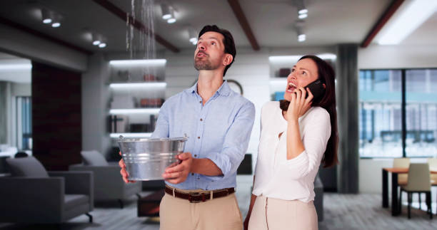 Best Water damage restoration near me  in Taft, TX